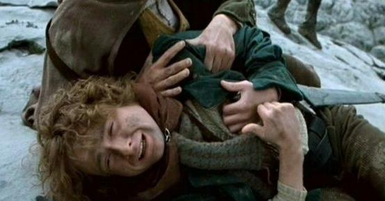 ca_pippin015.jpg